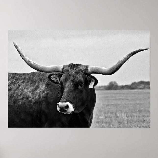 Longhorn Cow Photographic Art Print Poster (Framsidan)