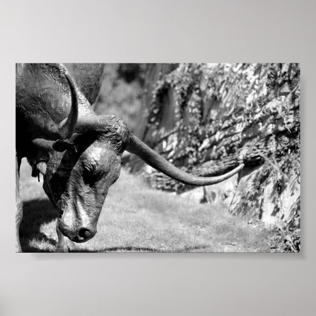 Longhorn Eating Poster (Framsidan)