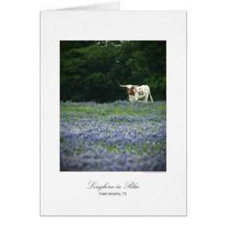 Longhorn i blått hälsningskort