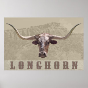 Longhorn Land Poster -60 x 40 -andra storlekar ock