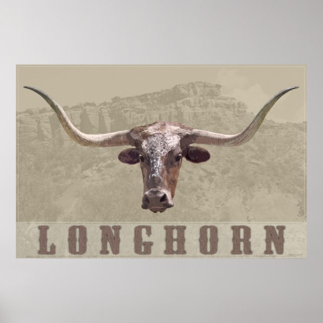 Longhorn Land Poster -60 x 40 -andra storlekar ock (Framsidan)