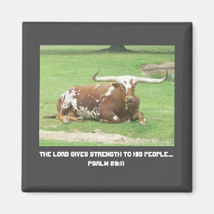 Longhorn Magnet