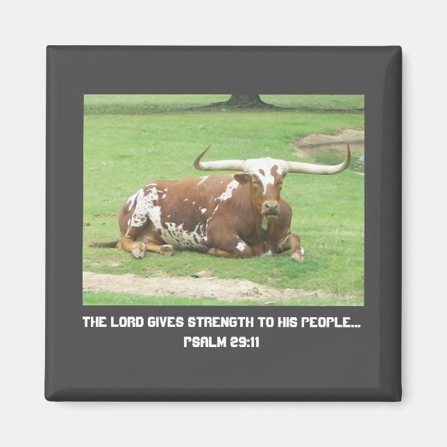 Longhorn Magnet (Framsidan)