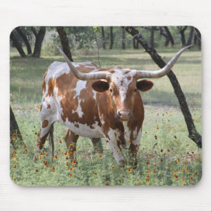 Longhorn Musmatta