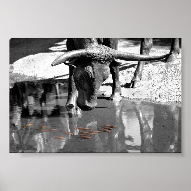 Longhorn och Goldfish Poster (Framsidan)