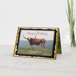 Longhorn på ettnågot tillfälle kort