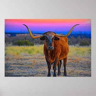 Longhorn på solnedgången poster