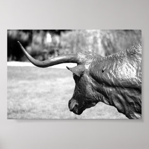 Longhorn Profile Poster