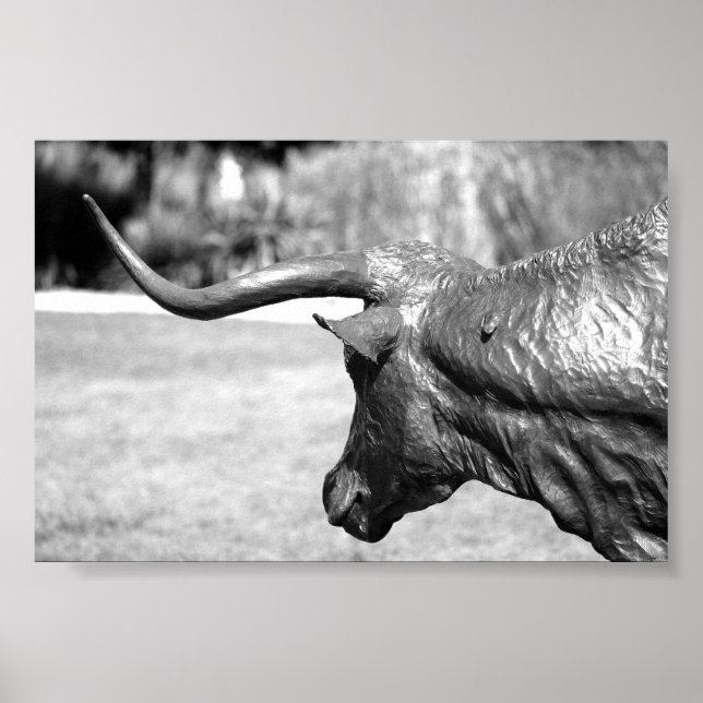 Longhorn Profile Poster (Framsidan)