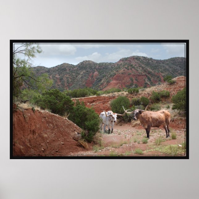 Longhorn Ravine Poster -60 x 40 (Framsidan)
