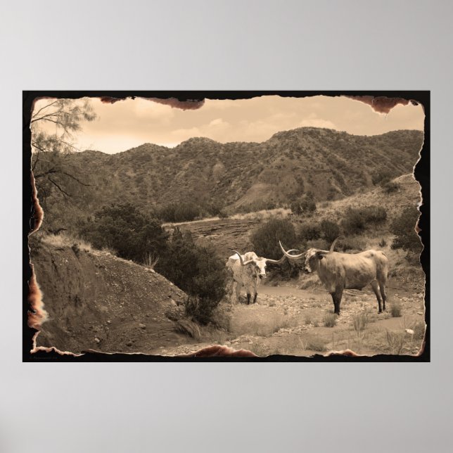 Longhorn Ravine Sepia Poster -60 x 40 (Framsidan)