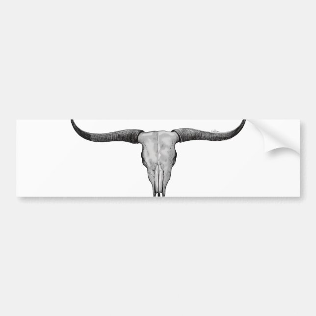Longhorn Skull Bildekal (Framsidan)