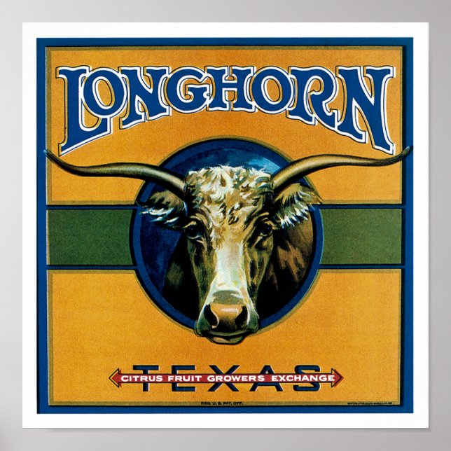 Longhorn Texas Poster (Framsidan)