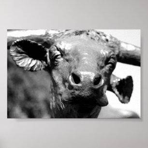 Longhorn upp slut poster