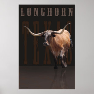 Longhornen driver affischen w/Text -40x60 - eller Poster
