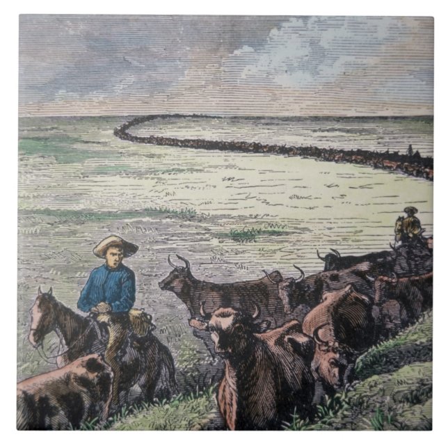 Longhornnötkreatur kör från Texas till Abilene, Kakelplatta (Framsidan)