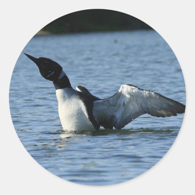 Longklistermärken Runt Klistermärke (Framsida)