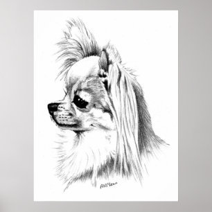 Longrock Chihuahua Champion Poster