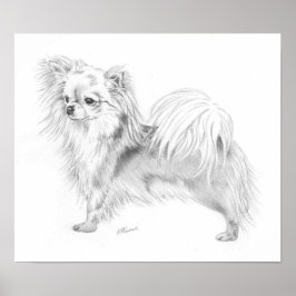 Longrock Chihuahua Champion Poster