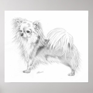 Longrock Chihuahua Champion Poster