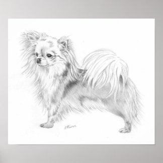Longrock Chihuahua Champion Poster