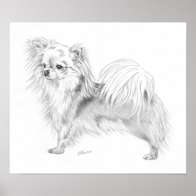 Longrock Chihuahua Champion Poster (Framsidan)