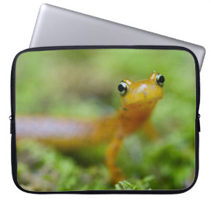 Longtail Salamander Laptop Fodral