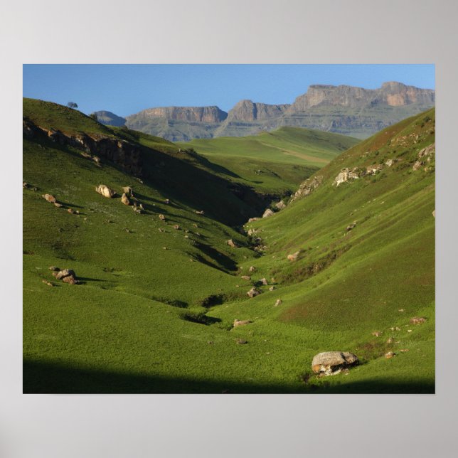 Longwall, Giant's Castle, Drakensbergen Poster (Framsidan)