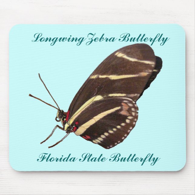 Longwing Zebra Butterfly of Florida Musmatta (Framsidan)
