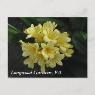 Longwood Gardens, PA Vykort
