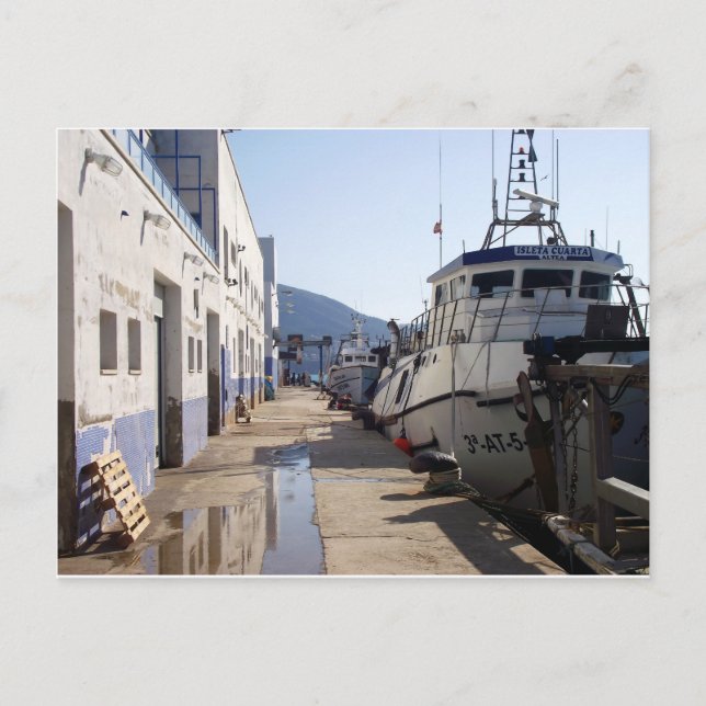 Lonja del puerto de Altea, Alicante, España Vykort (Framsida)