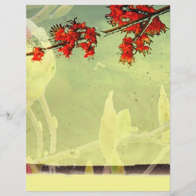 Lönn och Magnoliablomning (Framsida)