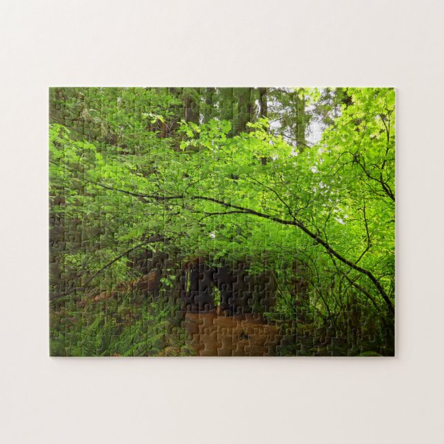 Lönnar i Redwood-skogen Pussel (Horisontell)