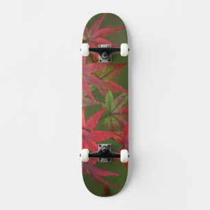 Lönnlöv, Katsura, Kyoto, Japan Old School Skateboard Bräda 21,6 Cm