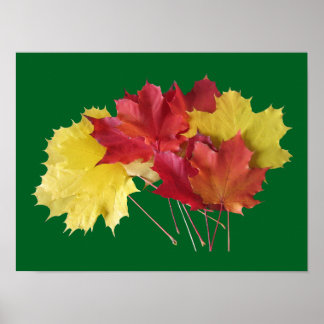 Lönnlöv Poster