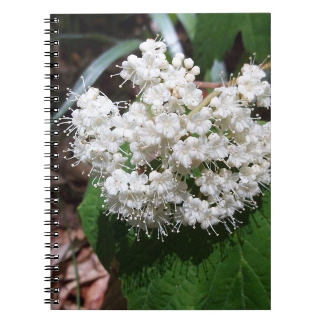 LönnlövViburnum Anteckningsbok (Framsidan)