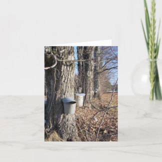 Lönnsirapsamling Notecard Kort