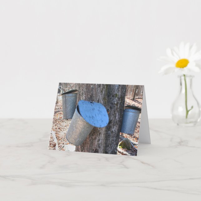Lönnsirapssavflöden Naturfotografering Notering Kort (Liten växt)