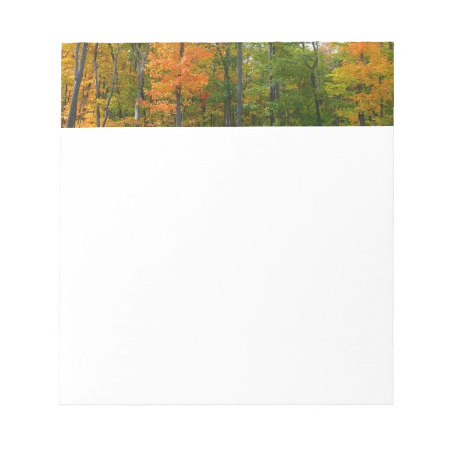 Lönnträd Höst Naturfotografering Anteckningsblock (Framsida)