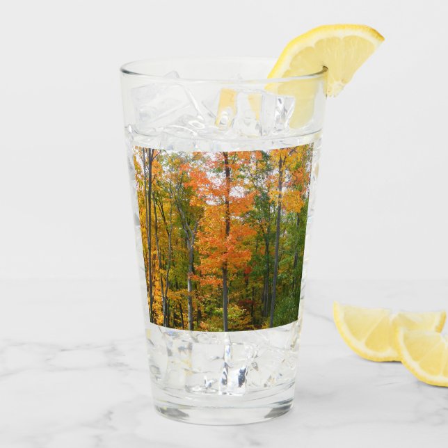 Lönnträd Höst Naturfotografering Glaskopp (Bakside Is)