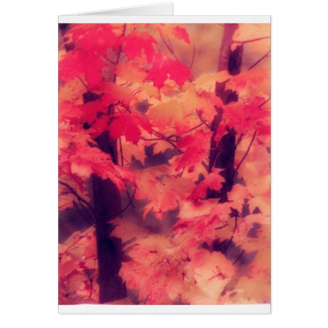 Lönnträd i nedgång hälsningskort (Framsidan)