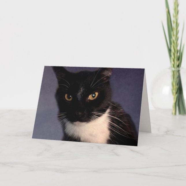 Lönsam Anpassningsbar från katten Kort (Framsida)