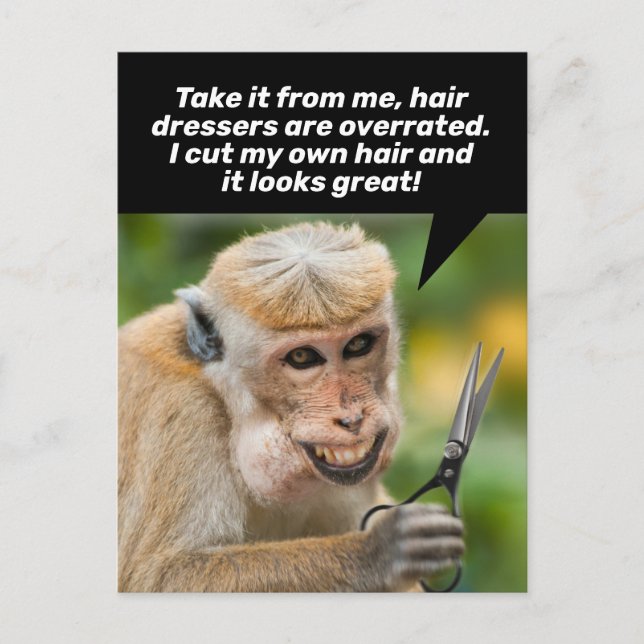 Lönsam apa med dålig hårklippning i Ställe Vykort (Framsida)