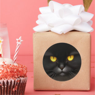 Lönsam Arg Fluffy Black Persian Kattunge Ansikte Runt Klistermärke