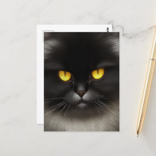 Lönsam Arg Fluffy Black Persian Kattunge Ansikte Vykort