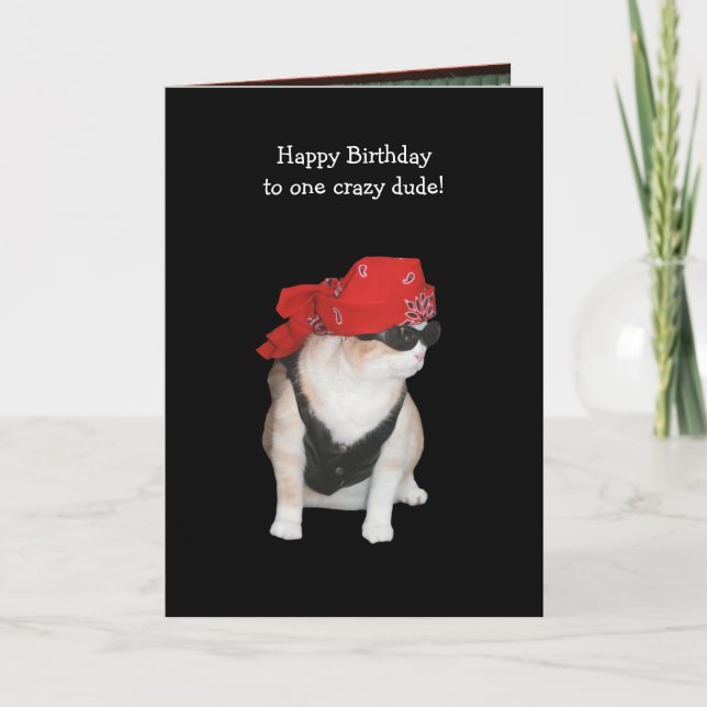 Lönsam Biker Kat Birthday från Konservativ Kort (Framsida)