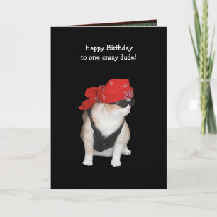 Lönsam Biker Kat Birthday från Konservativ Kort