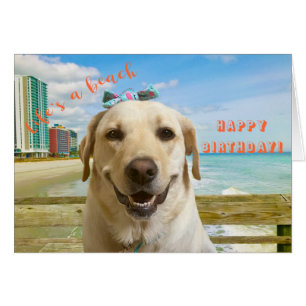 Lönsam Birthday Card Labrador-Hund, vanlig inuti Hälsningskort