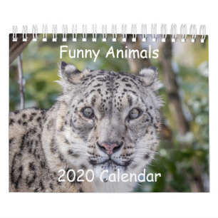 Lönsam djurkalender kalender
