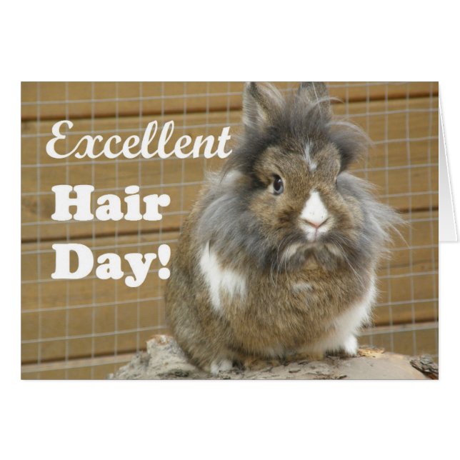 Lönsam "Excellent Hair Day" för kanin Hälsningskort (Framsidan Horizontal)
